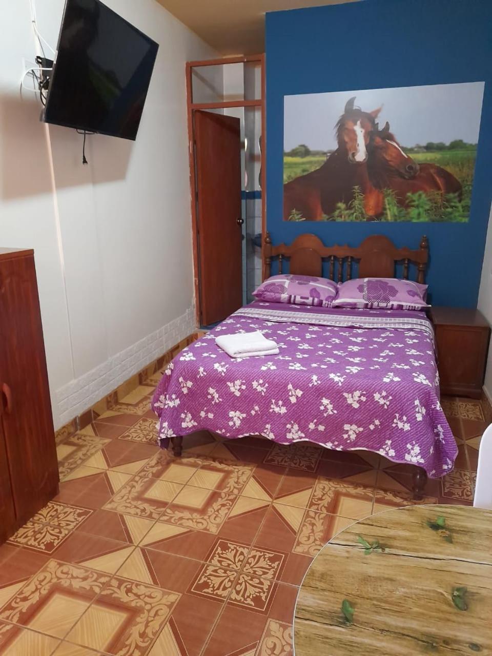 Nasca Trails B&B نازكا المظهر الخارجي الصورة
