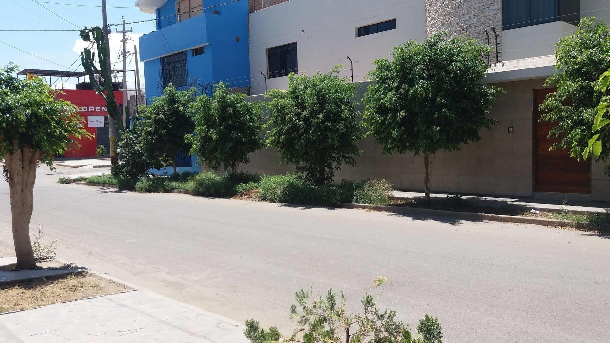 Nasca Trails B&B نازكا المظهر الخارجي الصورة