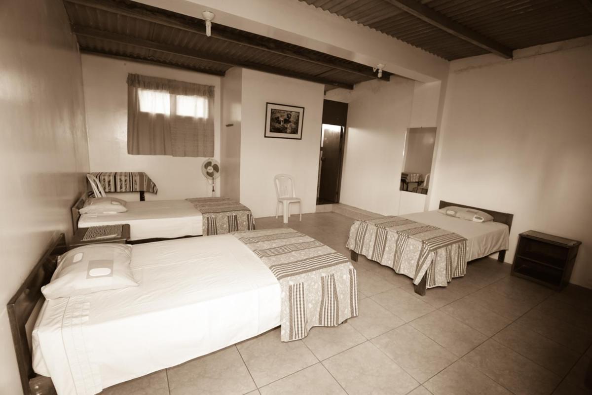 Nasca Trails B&B نازكا المظهر الخارجي الصورة